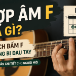 Hợp âm F là gì? Cách bấm F không bị đau tay cho người mới