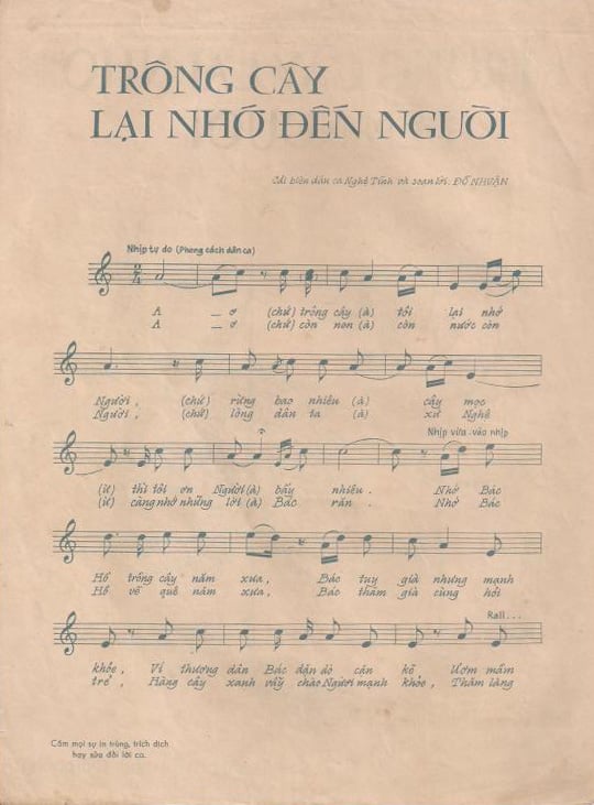 Sheet nhạc Trông cây lại nhớ đến Người - Trang 2