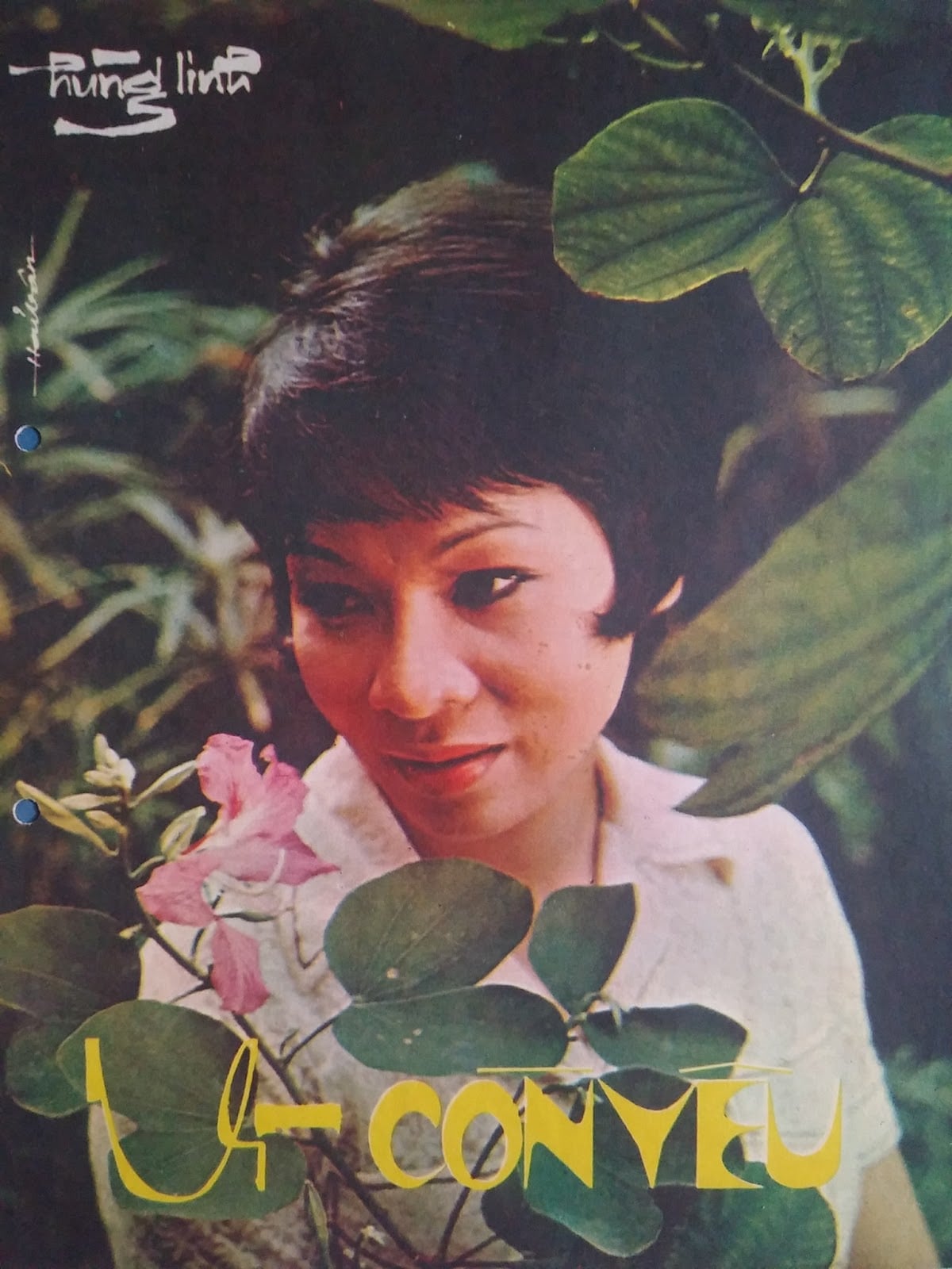 Sheet nhạc Vì còn yêu - Trang 1